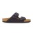 ARIZONA BS - LEO BLACK. ARIZONA BS - LEO BLACK.