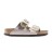 ARIZONA BIG BUCKLE B - GRACEFUL ARIZONA BIG BUCKLE B - GRACEFUL