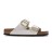 ARIZONA BIG BUCKLE B - GRACEFUL ARIZONA BIG BUCKLE B - GRACEFUL